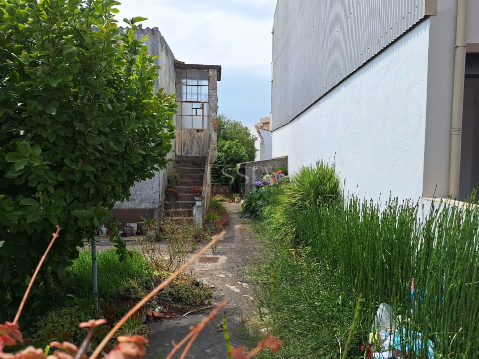 Terreno para Venda em Santa Marinha e São Pedro da Afurada Foto 6