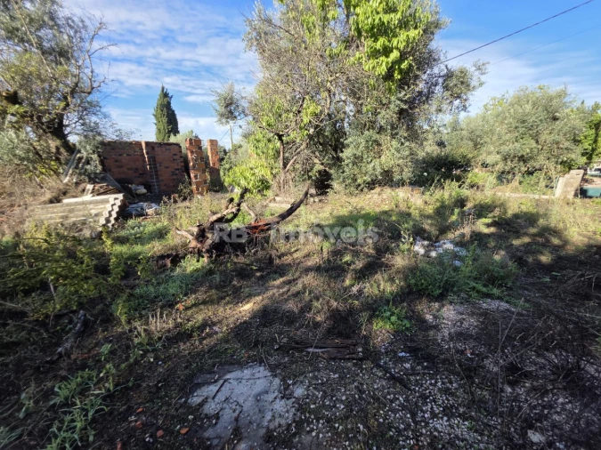 Moradia T1 para Venda em Paialvo Foto 16