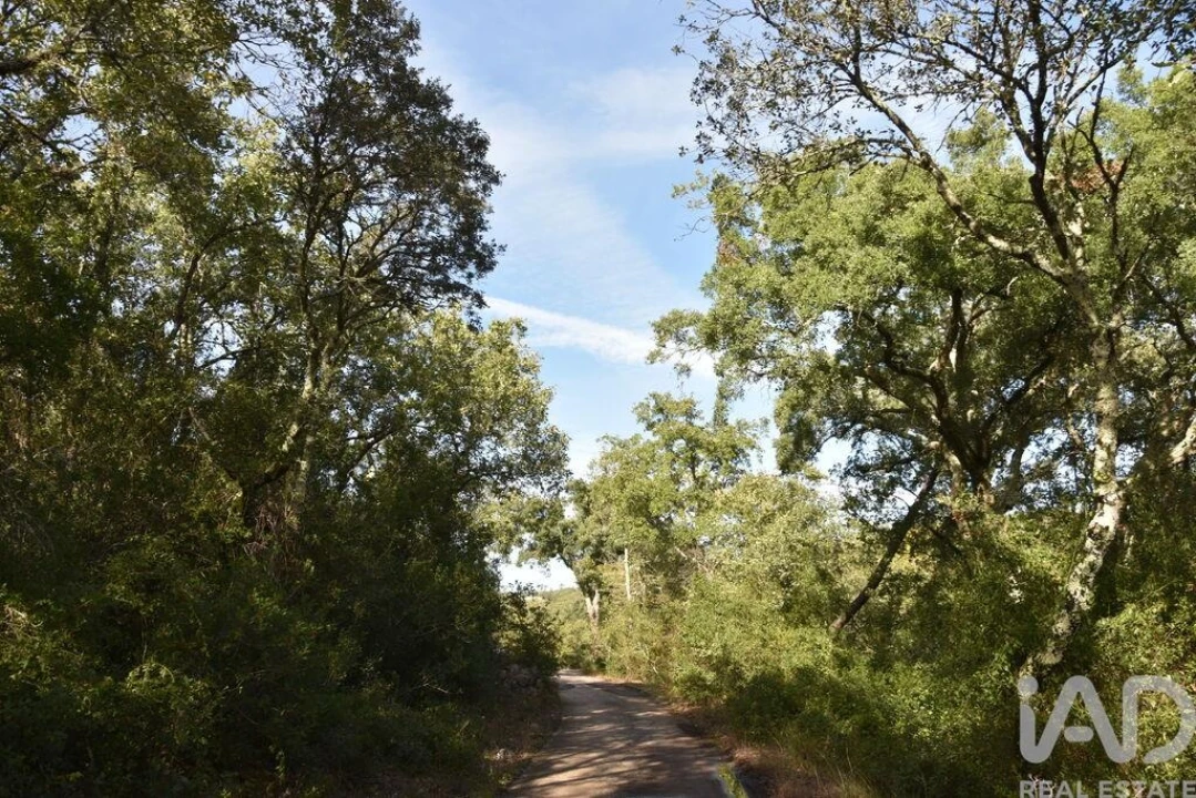 Terreno para Venda em Freixianda, Ribeira do Fárrio e Formigais Foto 32