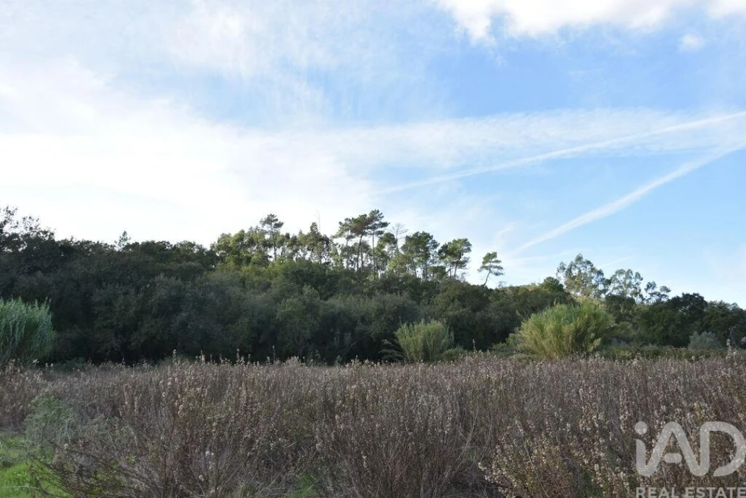 Terreno para Venda em Freixianda, Ribeira do Fárrio e Formigais Foto 20