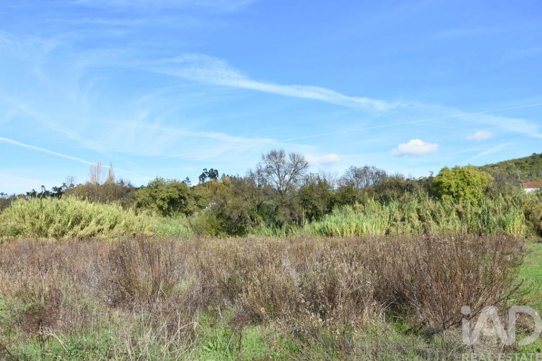 Terreno para Venda em Freixianda, Ribeira do Fárrio e Formigais Foto 10