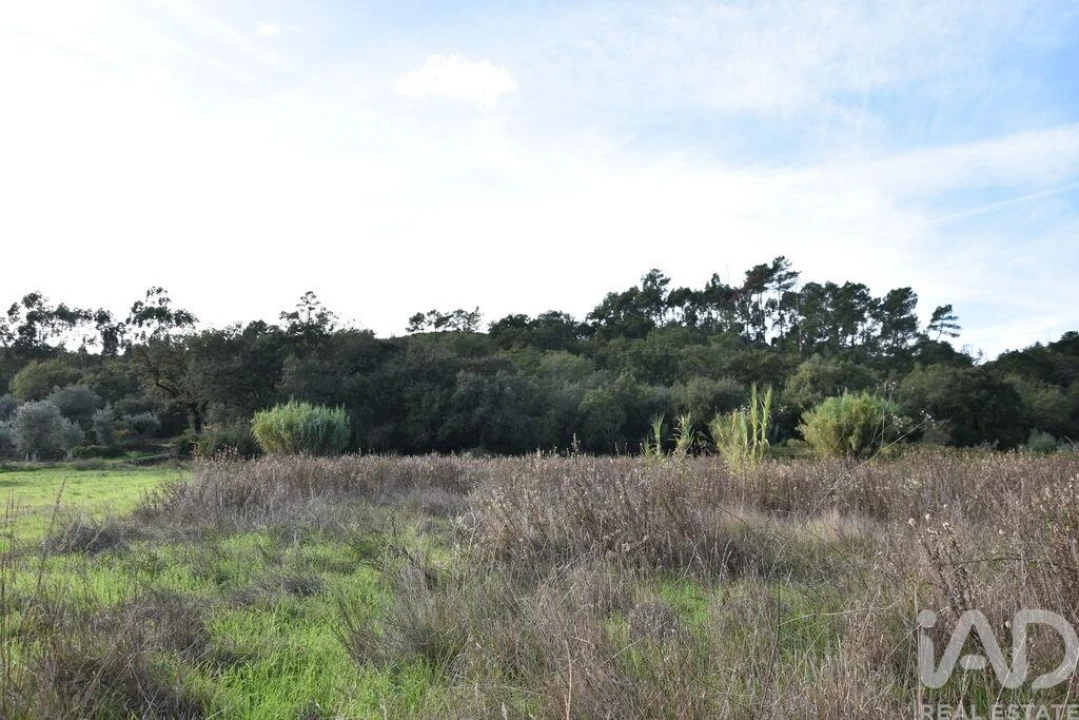 Terreno para Venda em Freixianda, Ribeira do Fárrio e Formigais Foto 18