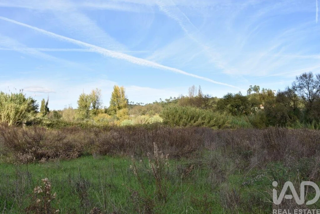 Terreno para Venda em Freixianda, Ribeira do Fárrio e Formigais Foto 19