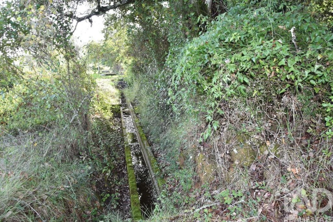 Terreno para Venda em Freixianda, Ribeira do Fárrio e Formigais Foto 3
