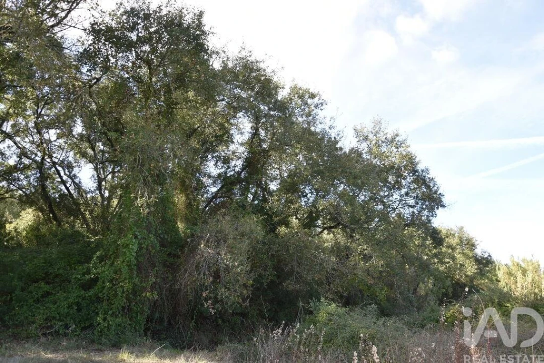 Terreno para Venda em Freixianda, Ribeira do Fárrio e Formigais Foto 34