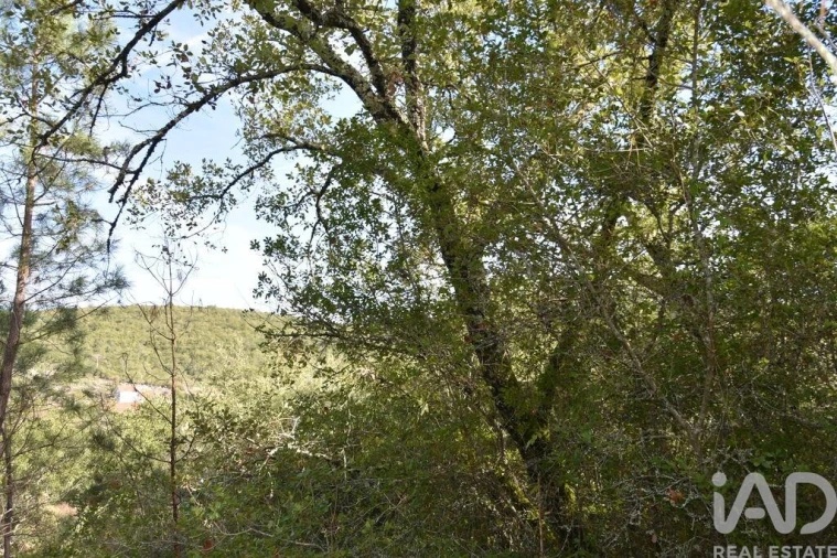Terreno para Venda em Freixianda, Ribeira do Fárrio e Formigais Foto 37