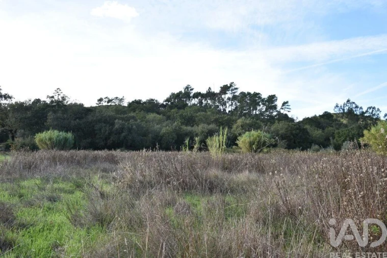 Terreno para Venda em Freixianda, Ribeira do Fárrio e Formigais Foto 17