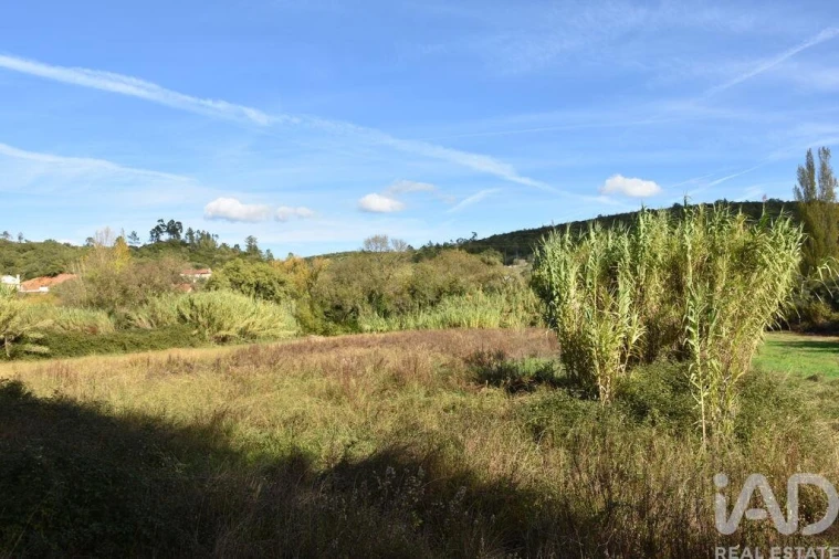 Terreno para Venda em Freixianda, Ribeira do Fárrio e Formigais Foto 8