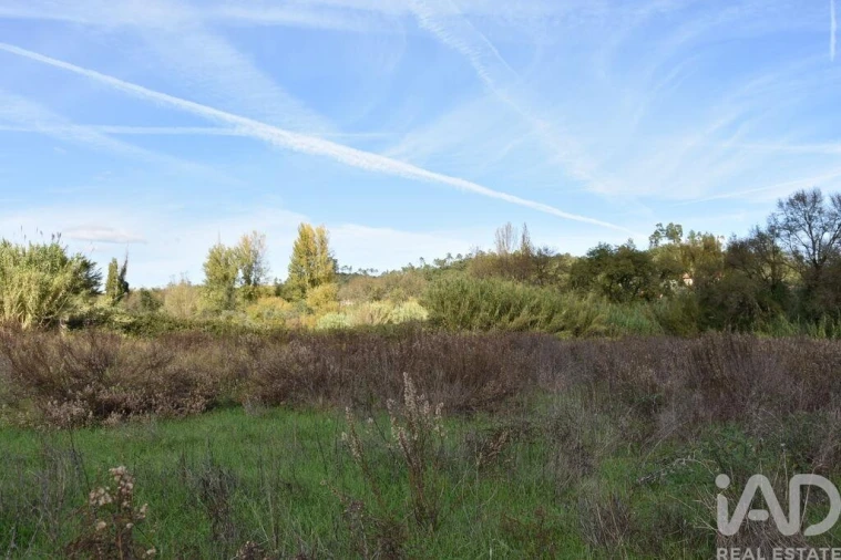 Terreno para Venda em Freixianda, Ribeira do Fárrio e Formigais Foto 19
