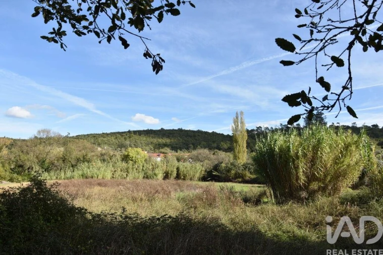 Terreno para Venda em Freixianda, Ribeira do Fárrio e Formigais Foto 11