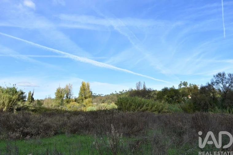 Terreno para Venda em Freixianda, Ribeira do Fárrio e Formigais Foto 14
