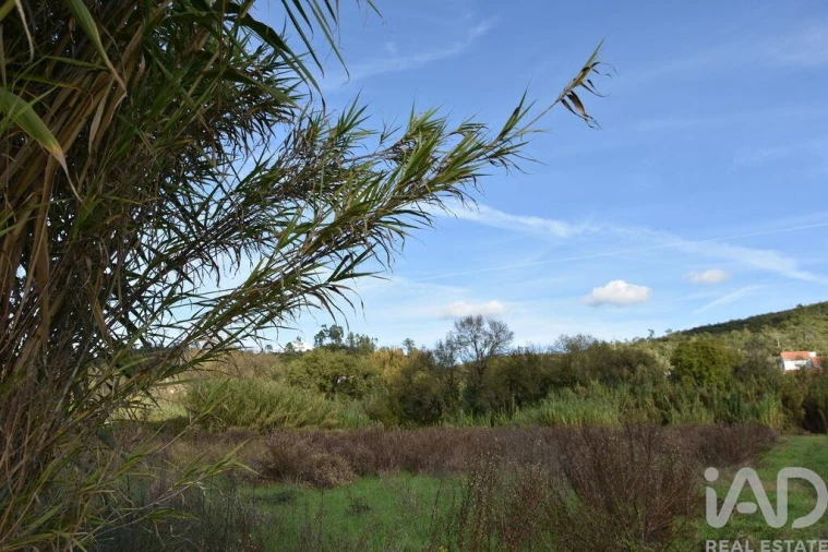 Terreno para Venda em Freixianda, Ribeira do Fárrio e Formigais Foto 12