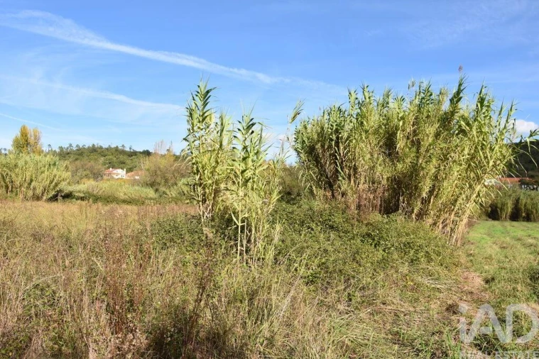 Terreno para Venda em Freixianda, Ribeira do Fárrio e Formigais Foto 7