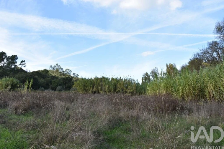 Terreno para Venda em Freixianda, Ribeira do Fárrio e Formigais Foto 13