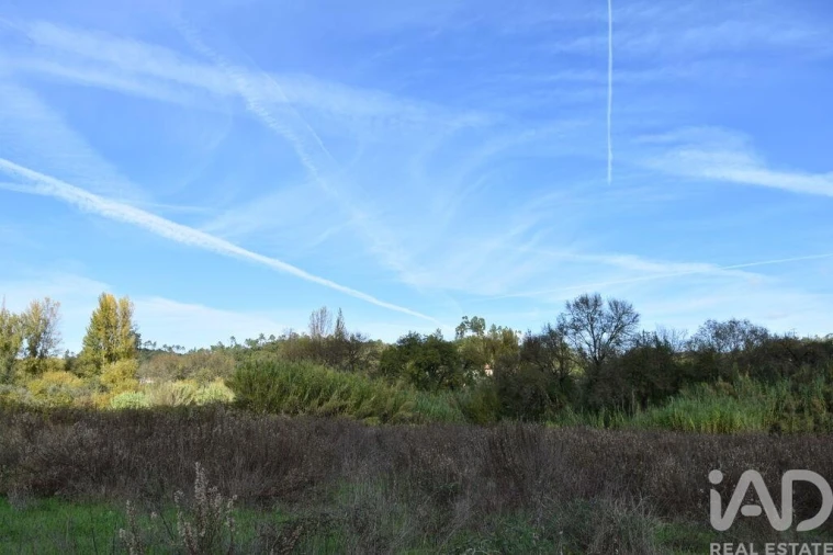 Terreno para Venda em Freixianda, Ribeira do Fárrio e Formigais Foto 15