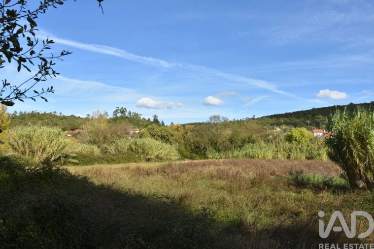 Terreno para Venda em Freixianda, Ribeira do Fárrio e Formigais Foto 9