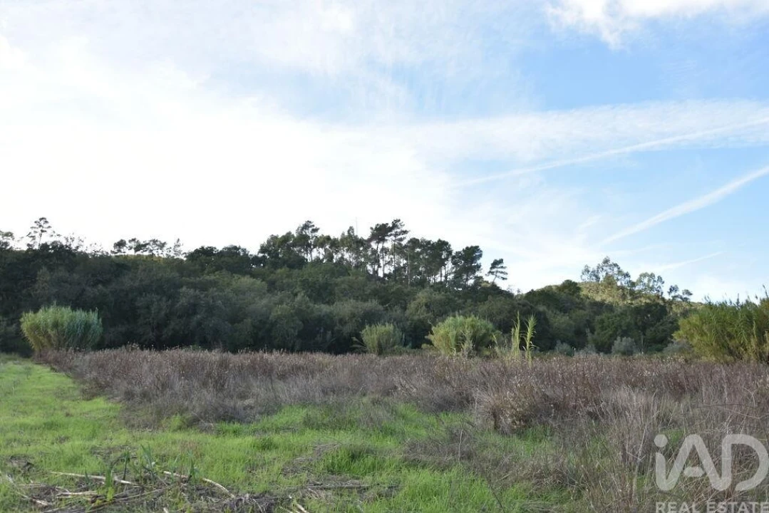 Terreno para Venda em Freixianda, Ribeira do Fárrio e Formigais Foto 16
