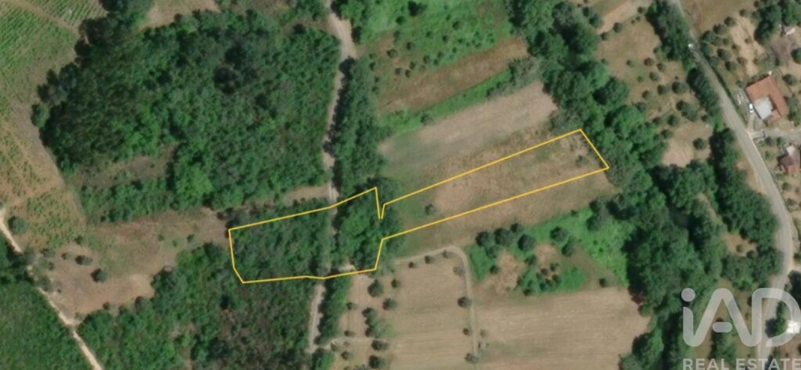 Terreno para Venda em Freixianda, Ribeira do Fárrio e Formigais Foto 40