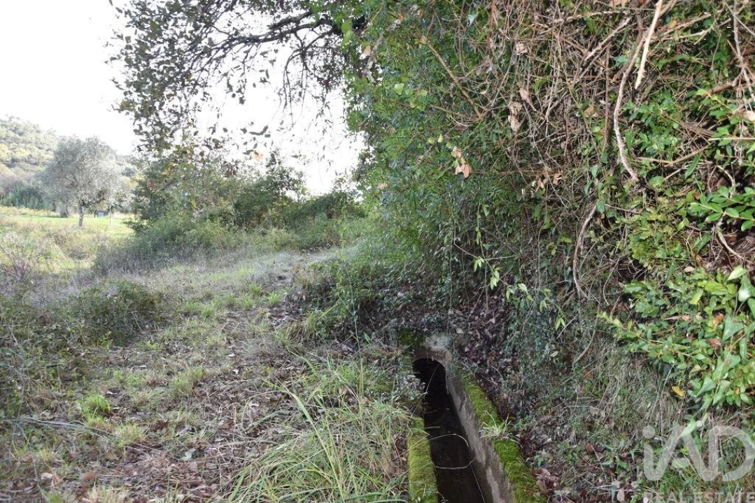 Terreno para Venda em Freixianda, Ribeira do Fárrio e Formigais Foto 5
