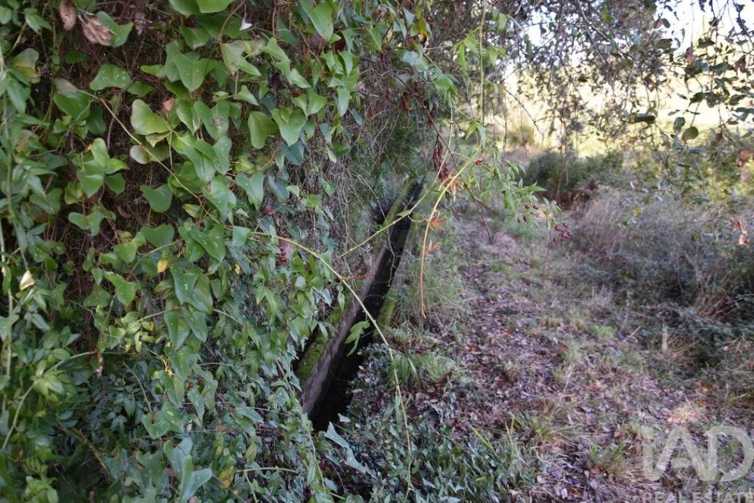 Terreno para Venda em Freixianda, Ribeira do Fárrio e Formigais Foto 4