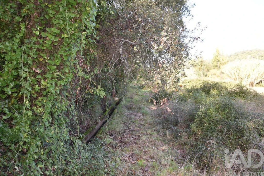Terreno para Venda em Freixianda, Ribeira do Fárrio e Formigais Foto 6