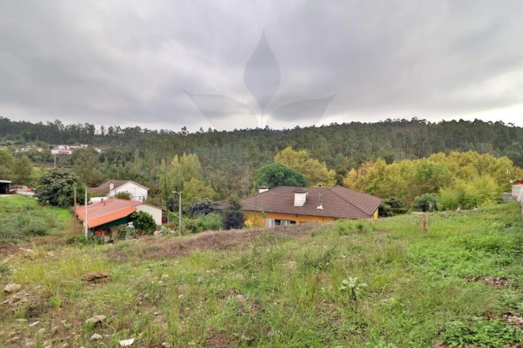 Terreno para Venda em Arentim e Cunha Foto 4