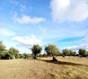 Quinta T1 para Venda em Redondo