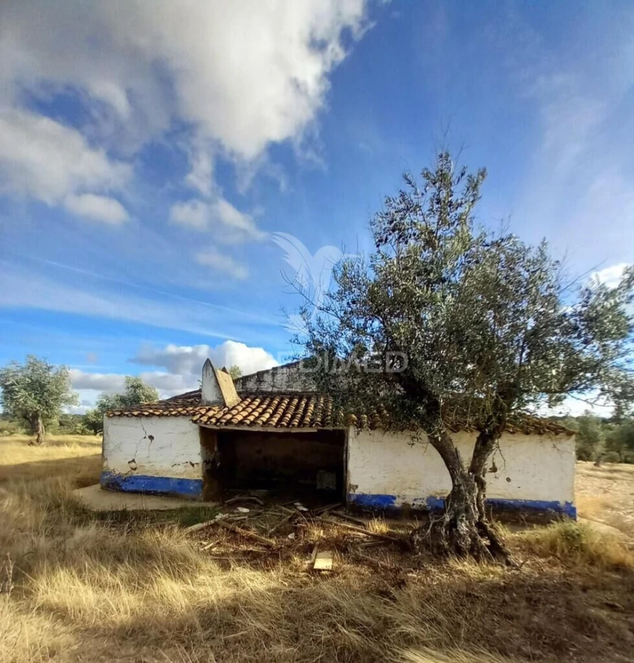 Quinta T1 para Venda em Redondo Foto 14