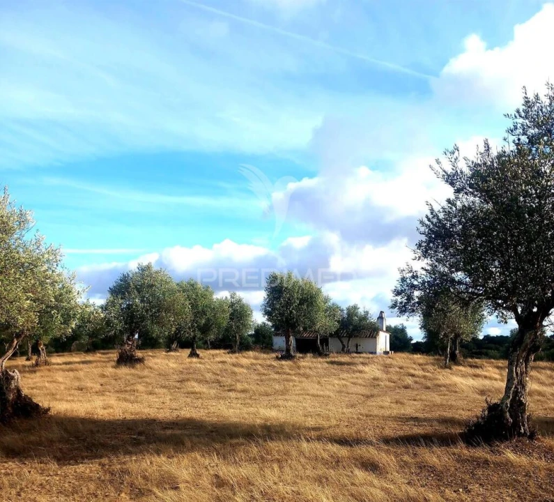 Quinta T1 para Venda em Redondo Foto 19