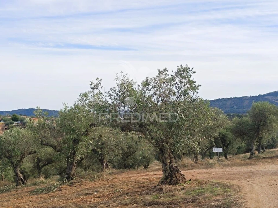 Moradia T2 para Venda em Amieira e Alqueva Foto 8