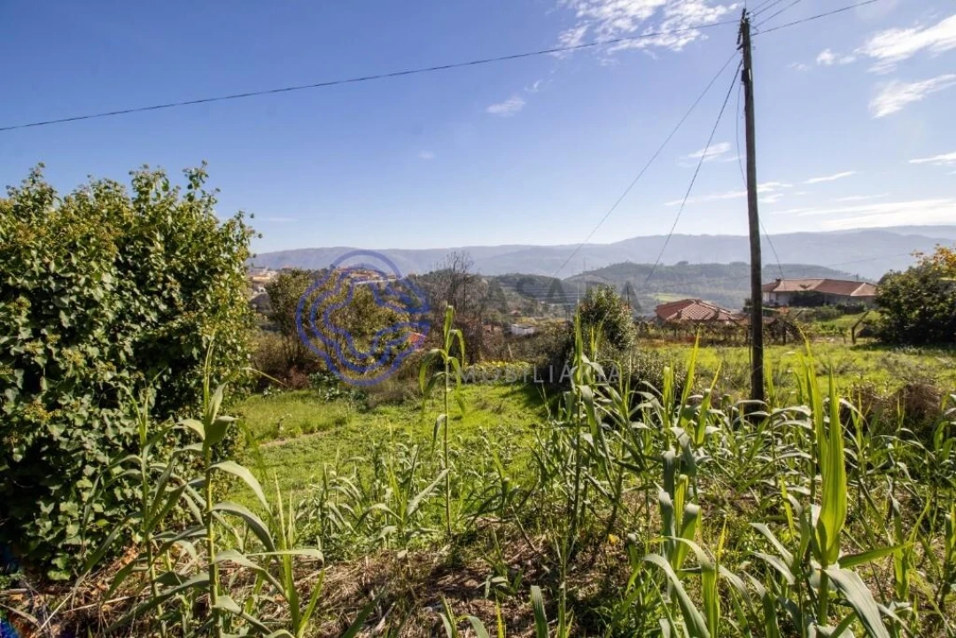 Quinta T4 para Venda em Valadares Foto 21