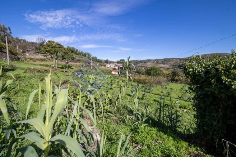 Quinta T4 para Venda em Valadares Foto 20