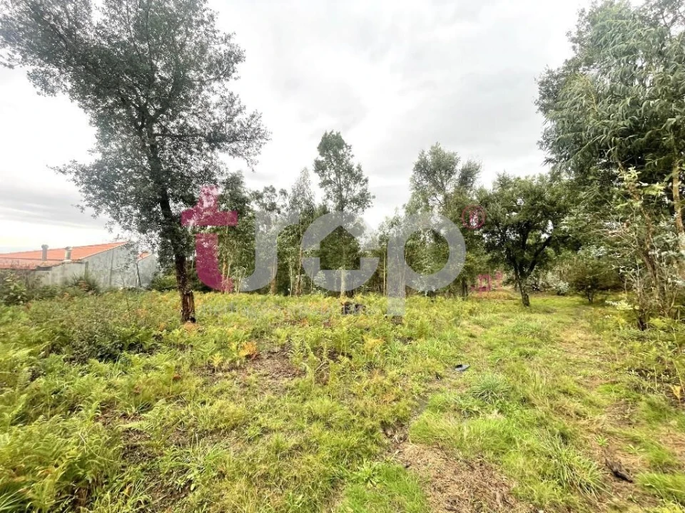 Terreno para Venda em Galegos (São Martinho) Foto 3