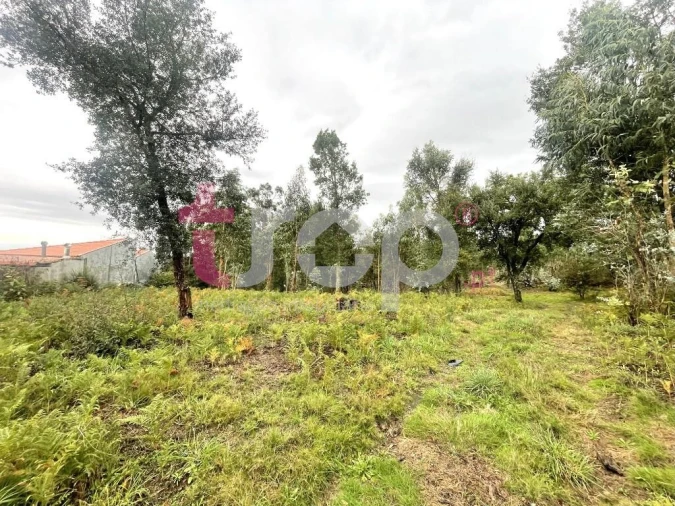 Terreno para Venda em Galegos (São Martinho) Foto 3