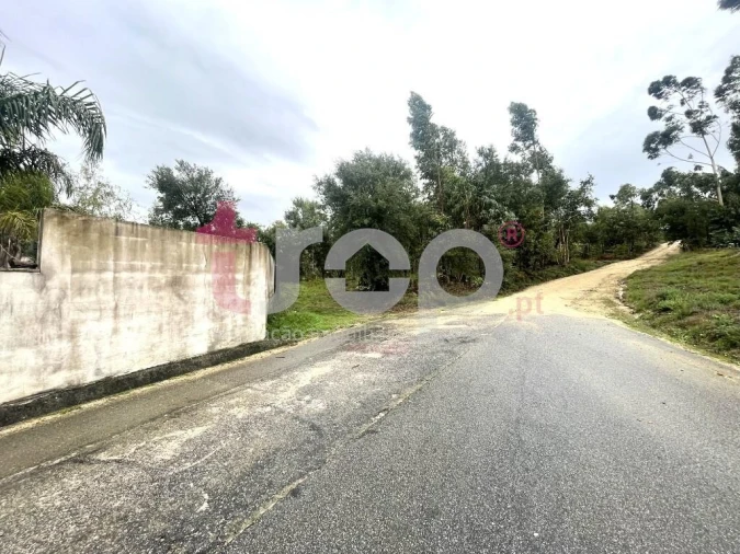 Terreno para Venda em Galegos (São Martinho)