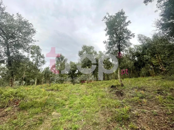 Terreno para Venda em Galegos (São Martinho) Foto 4