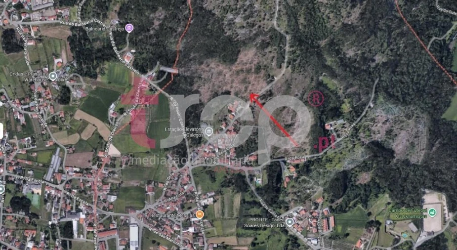 Terreno para Venda em Galegos (São Martinho) Foto 5