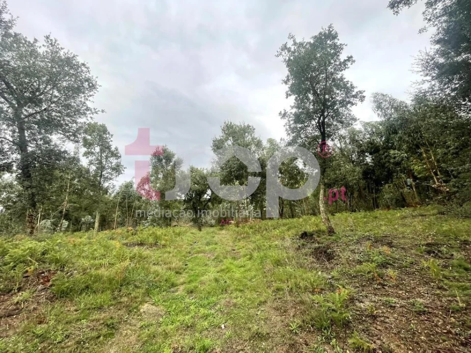 Terreno para Venda em Galegos (São Martinho) Foto 4