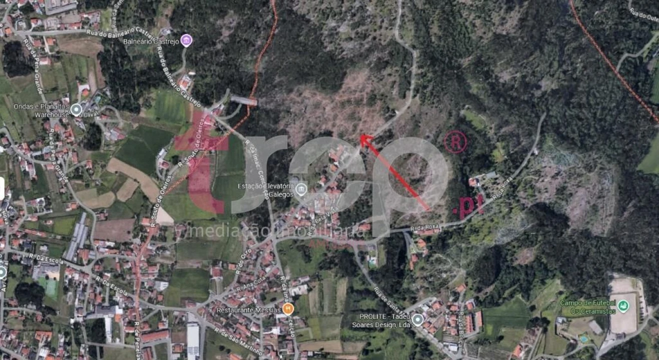 Terreno para Venda em Galegos (São Martinho) Foto 5