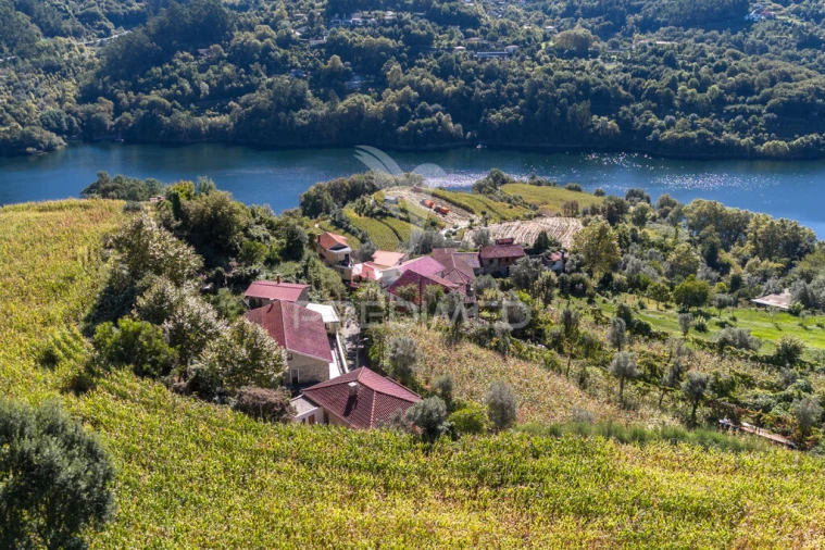 Moradia T3 para Venda em Valdosende Foto 5