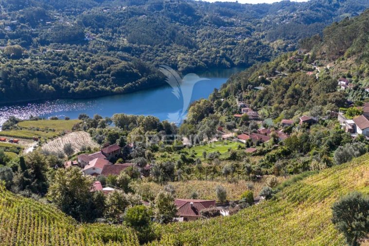 Moradia T3 para Venda em Valdosende Foto 8