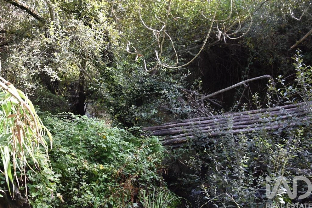 Terreno para Venda em Sabacheira Foto 32