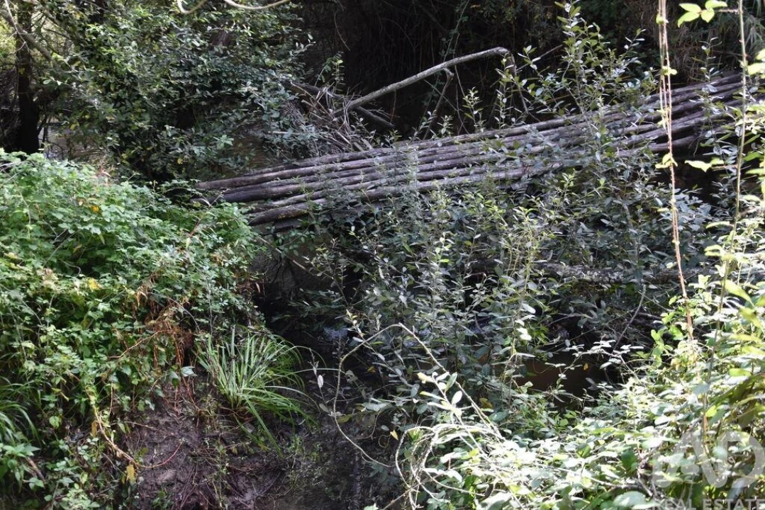Terreno para Venda em Sabacheira Foto 31