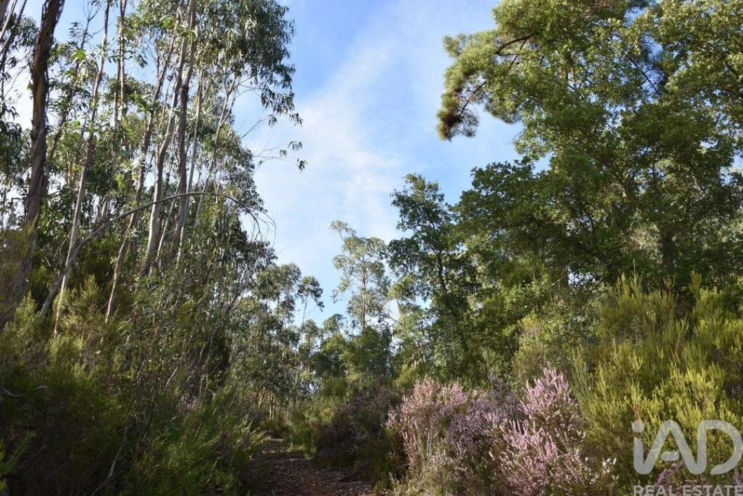 Terreno para Venda em Sabacheira Foto 2