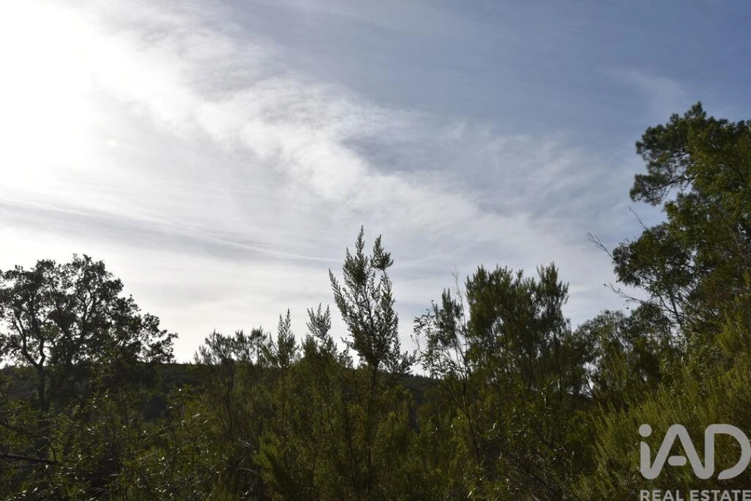 Terreno para Venda em Sabacheira Foto 24