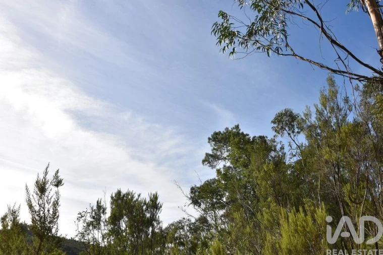 Terreno para Venda em Sabacheira Foto 25