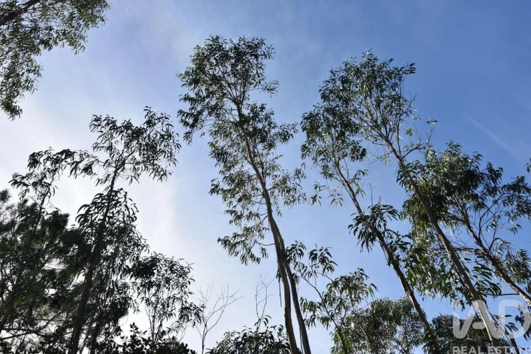Terreno para Venda em Sabacheira Foto 23