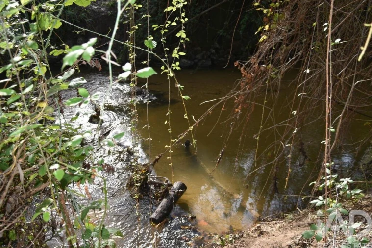 Terreno para Venda em Sabacheira Foto 4