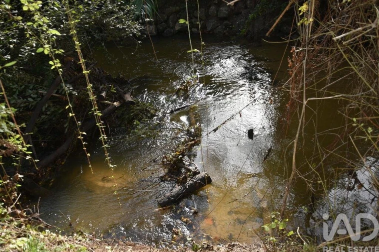 Terreno para Venda em Sabacheira Foto 6