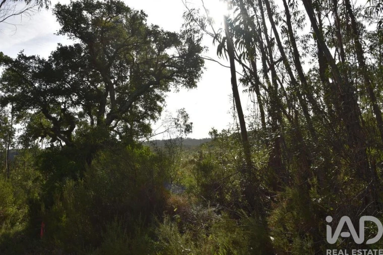 Terreno para Venda em Sabacheira Foto 17